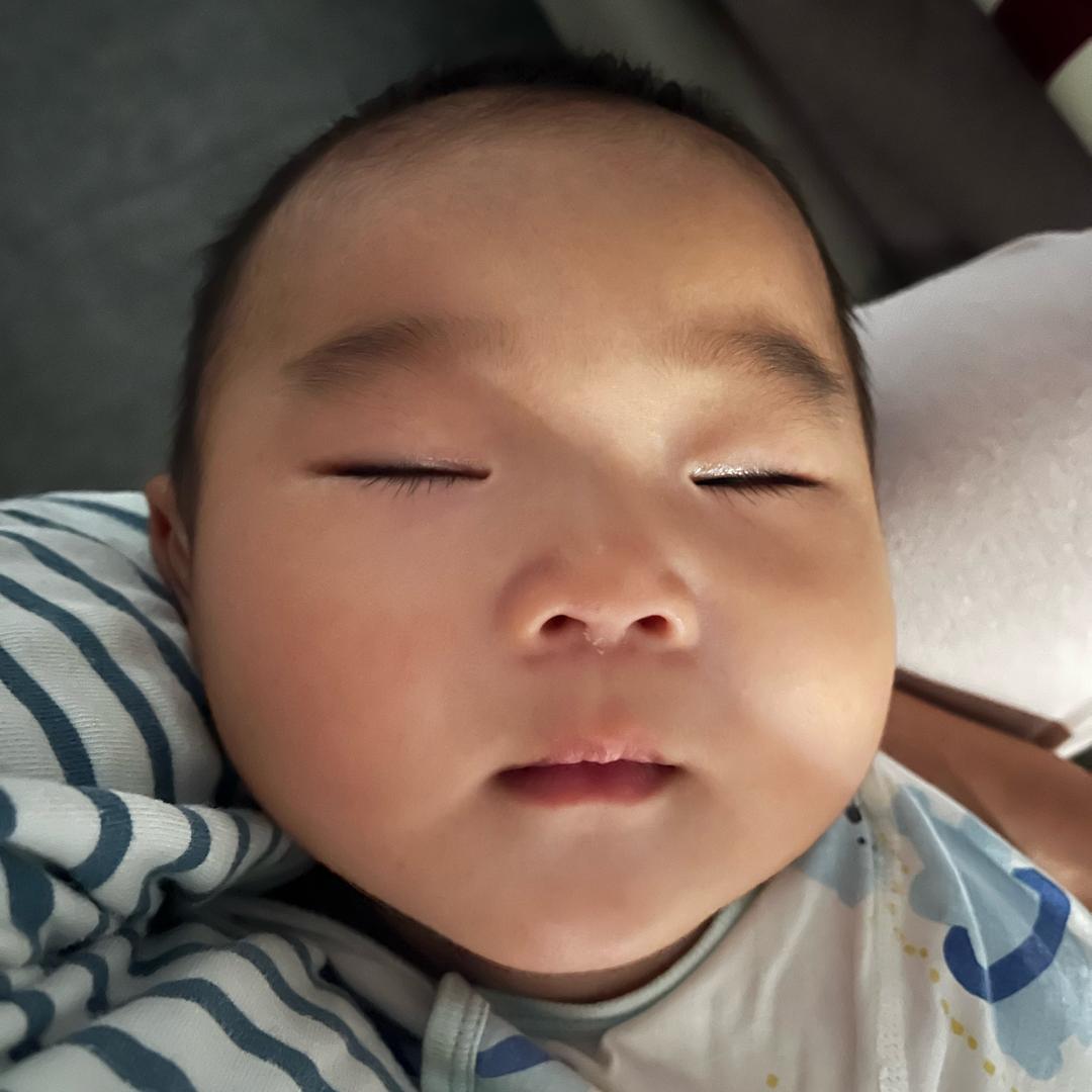 不吃人参果