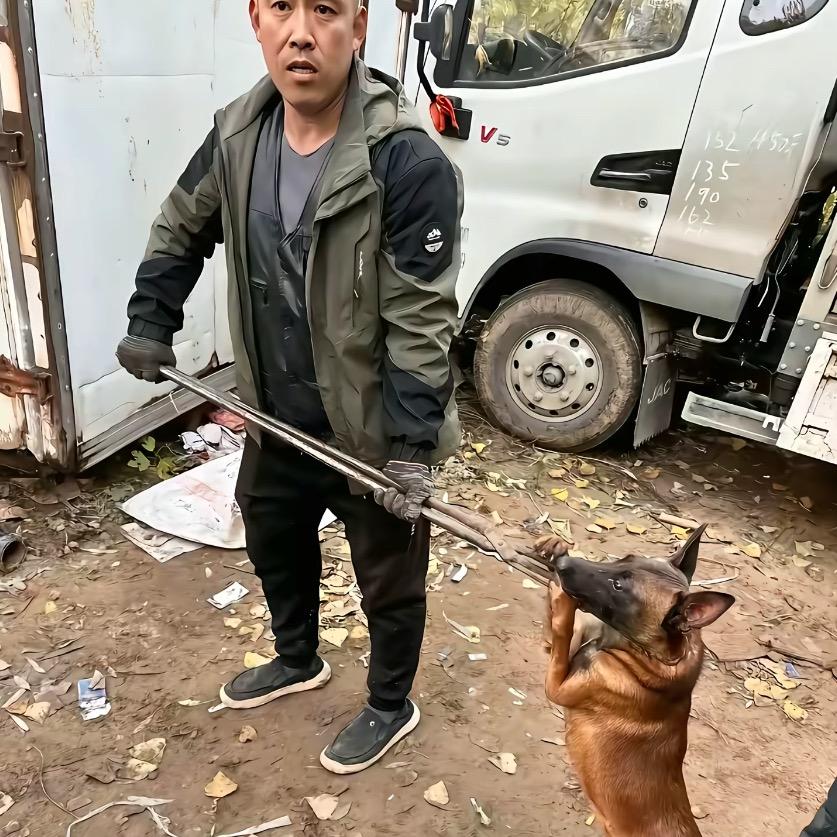 专业套狗吴师傅