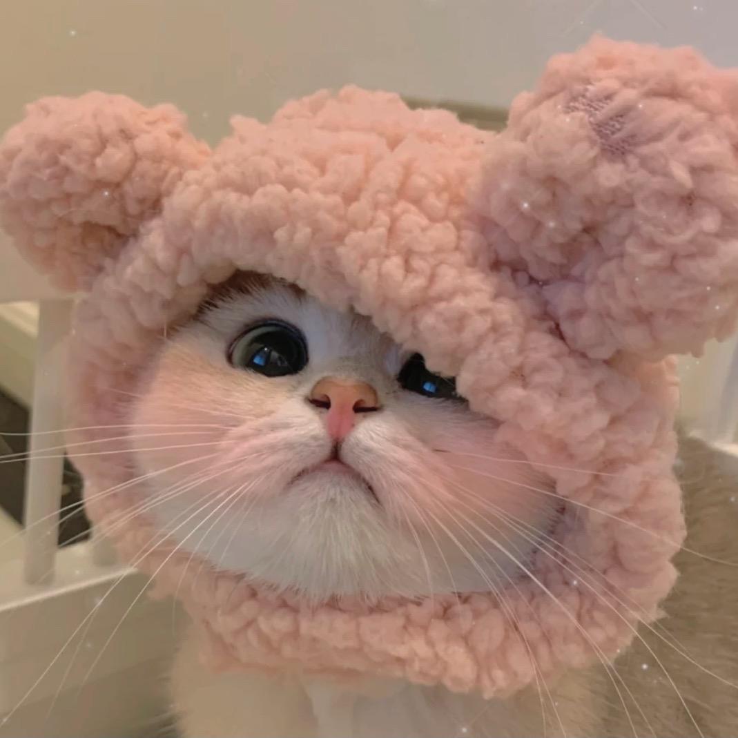 Cccccccy