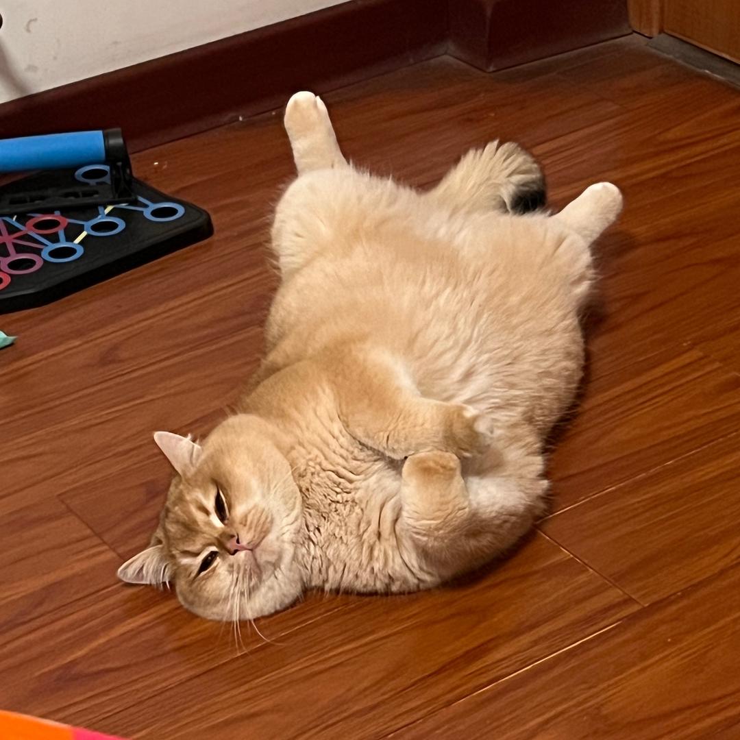 美老板
