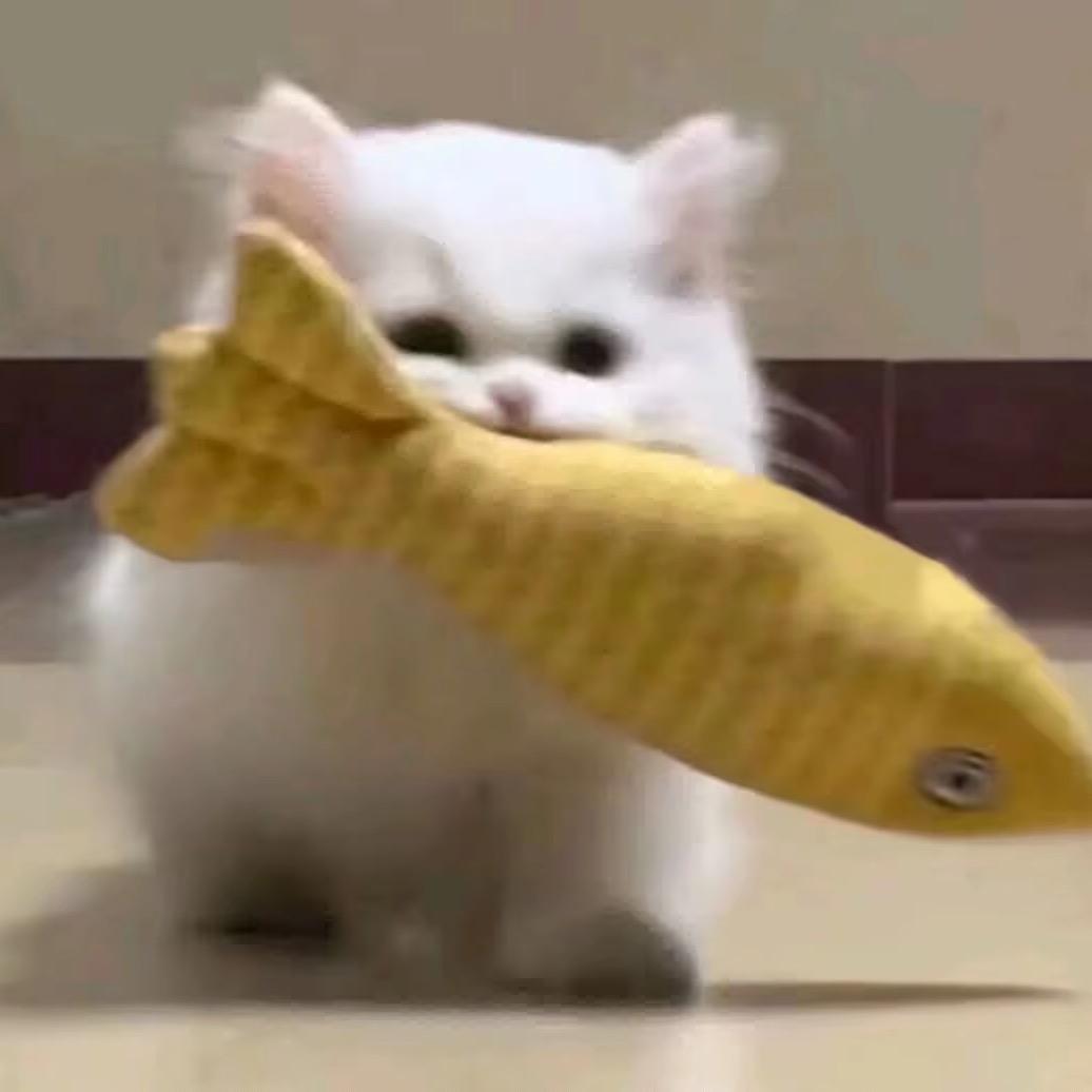 ，