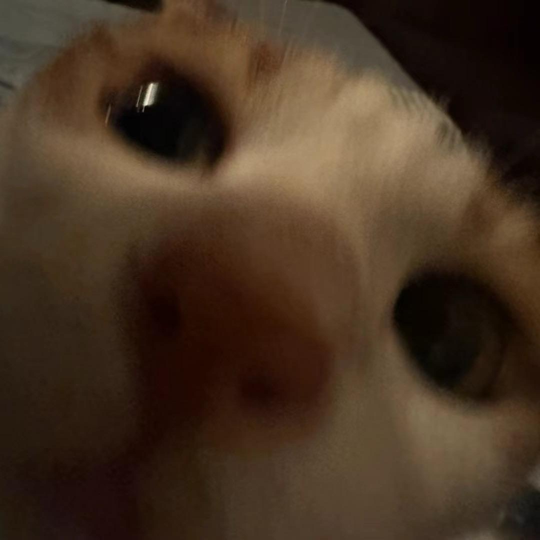 汉堡真的很好吃