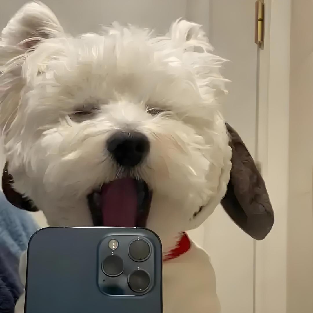 傍晚