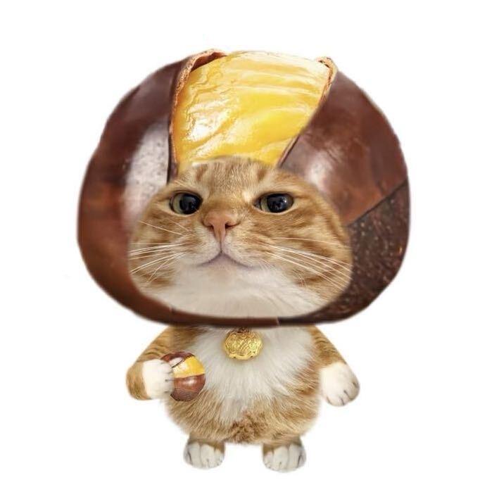 肚子里八百个屁