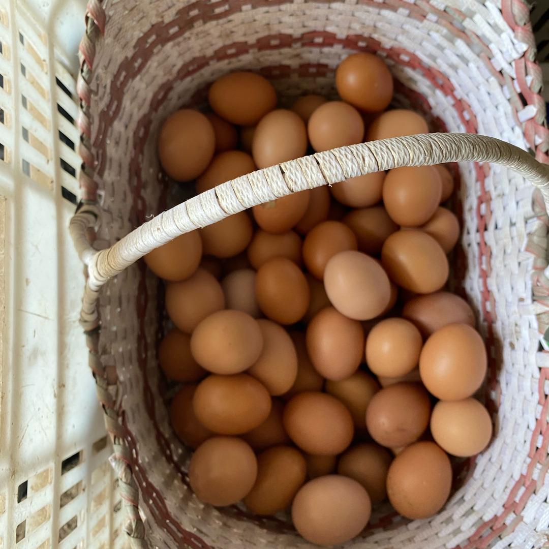 嘟嘟绿色农产品