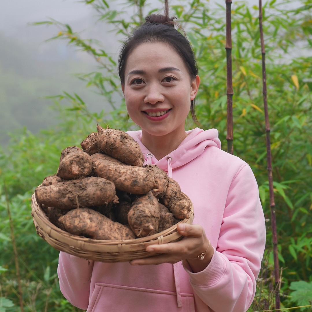 美美 媛媛小助理