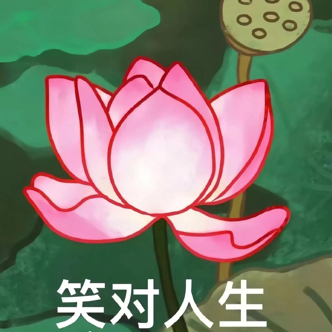 伟志纺织品经营