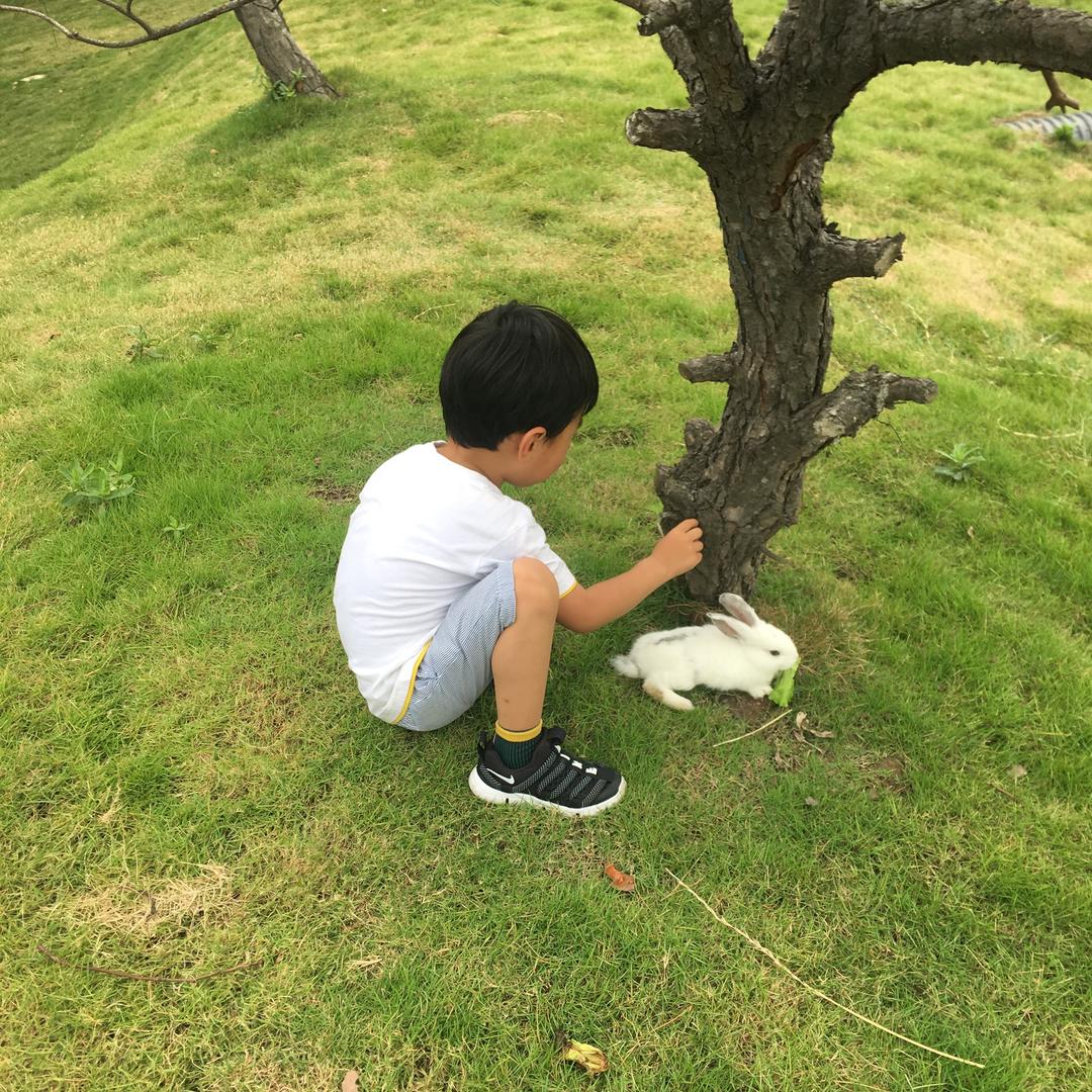 春夏秋冬a