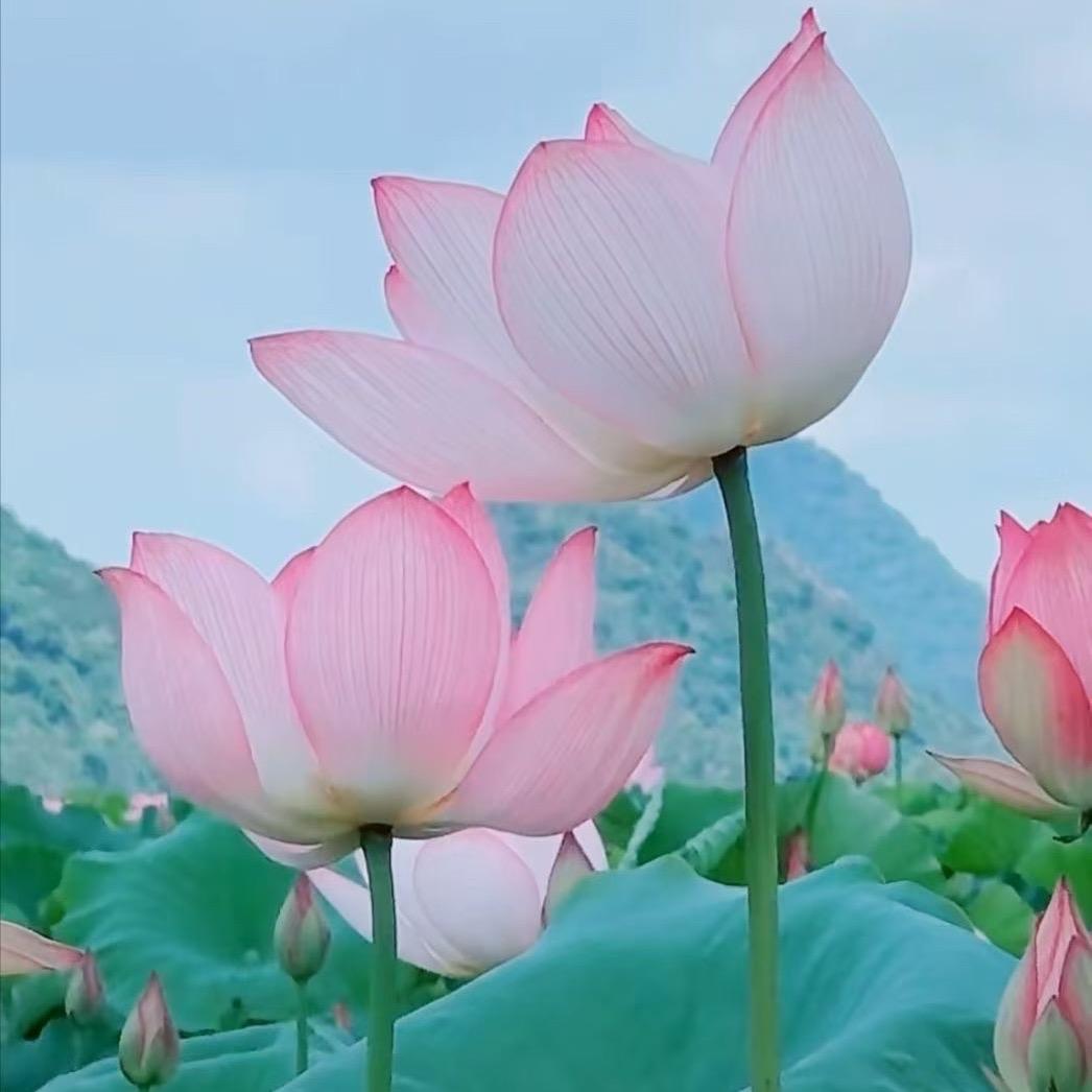 💜❥₅̶₂̶₀̶可乐°