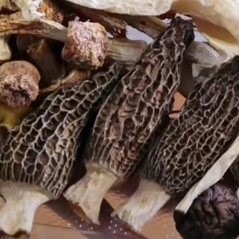 深情煲汤