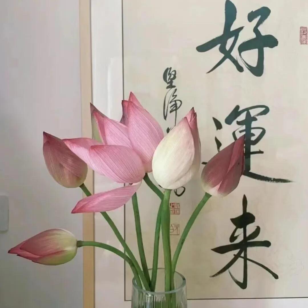 荔枝.