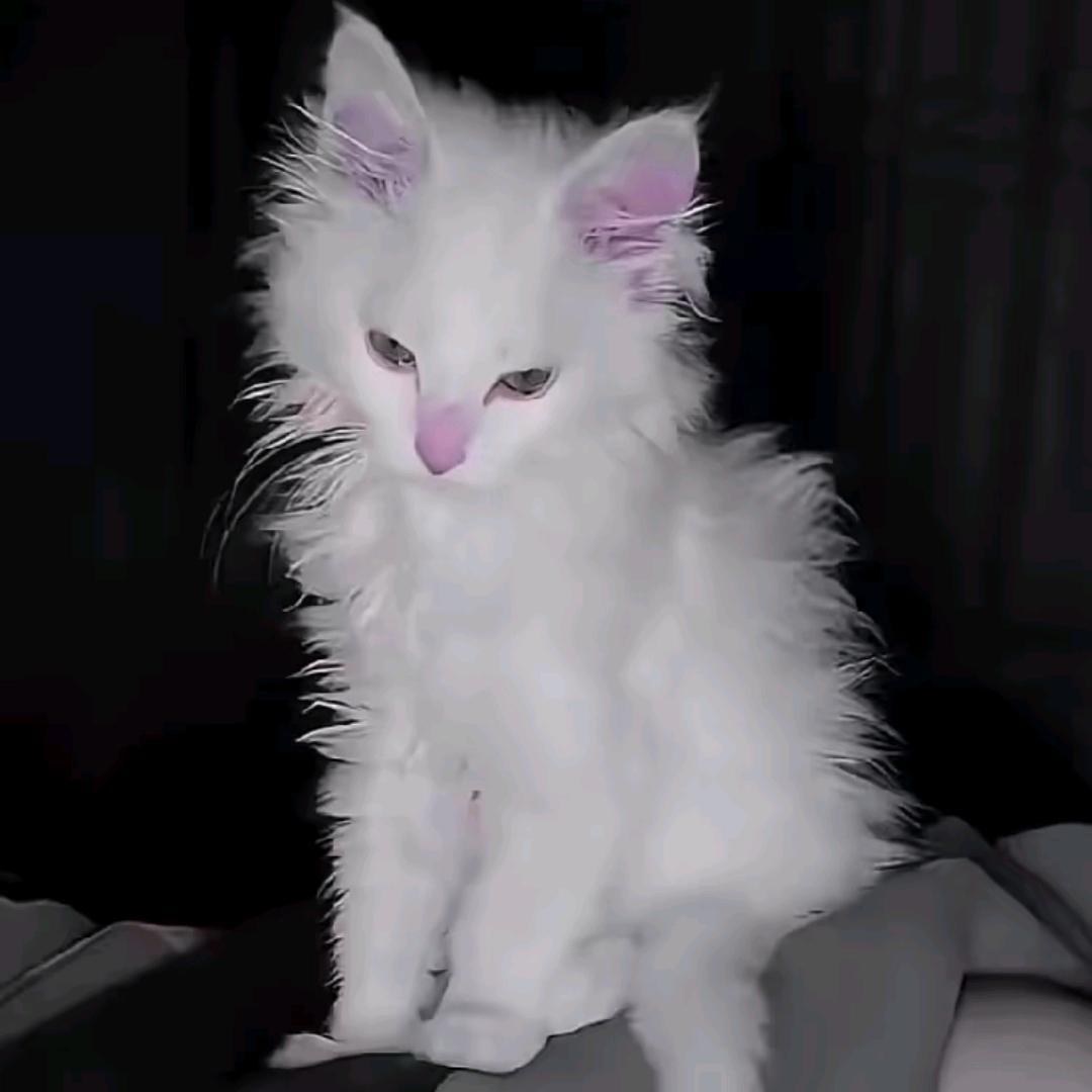 恋风起