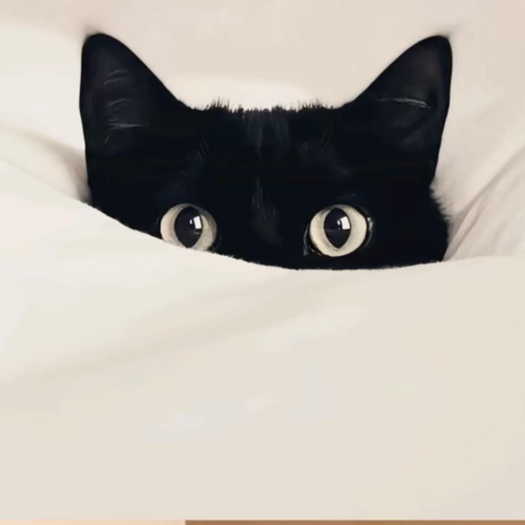 小太阳