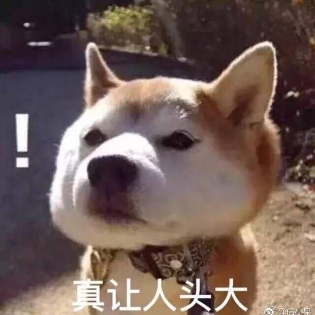 线报迷
