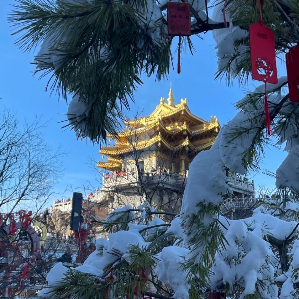 旅行规划师-元元