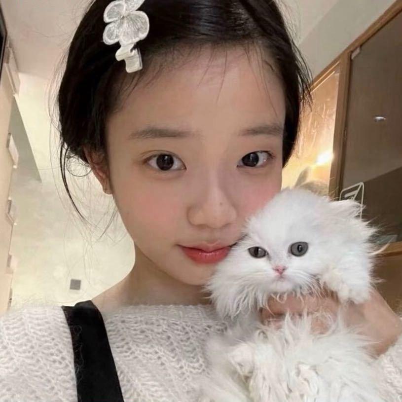 晴子公主万福金安