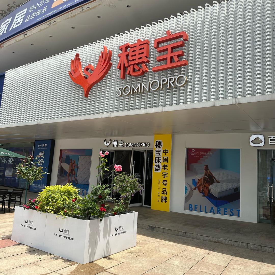 穗宝SOMNOPRO