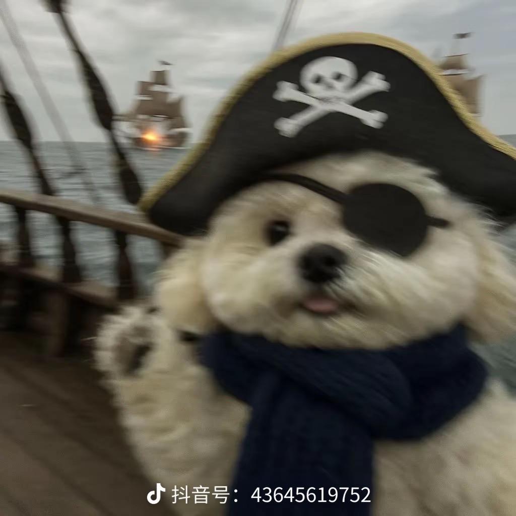虾球壳