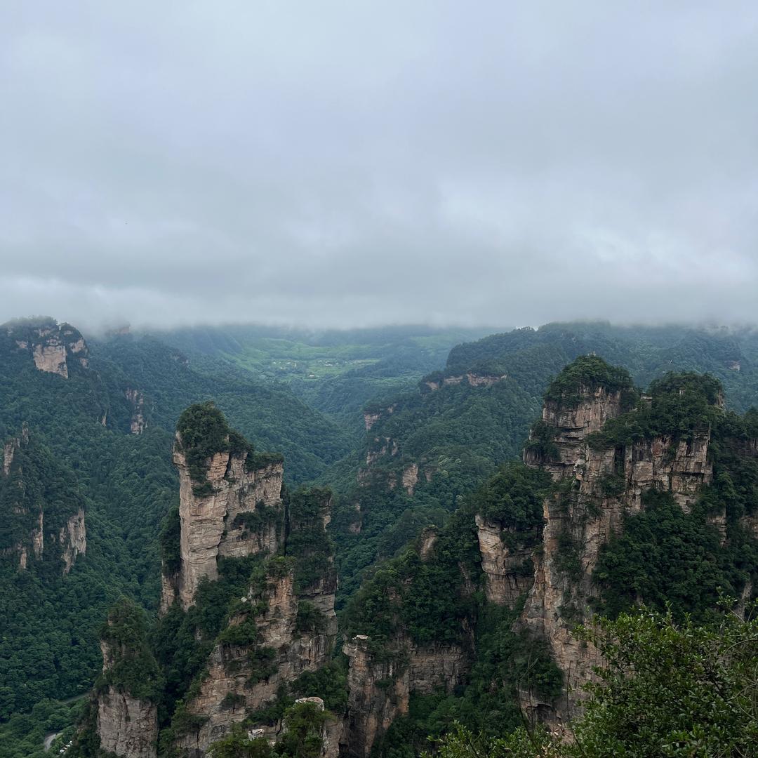 阿东哥