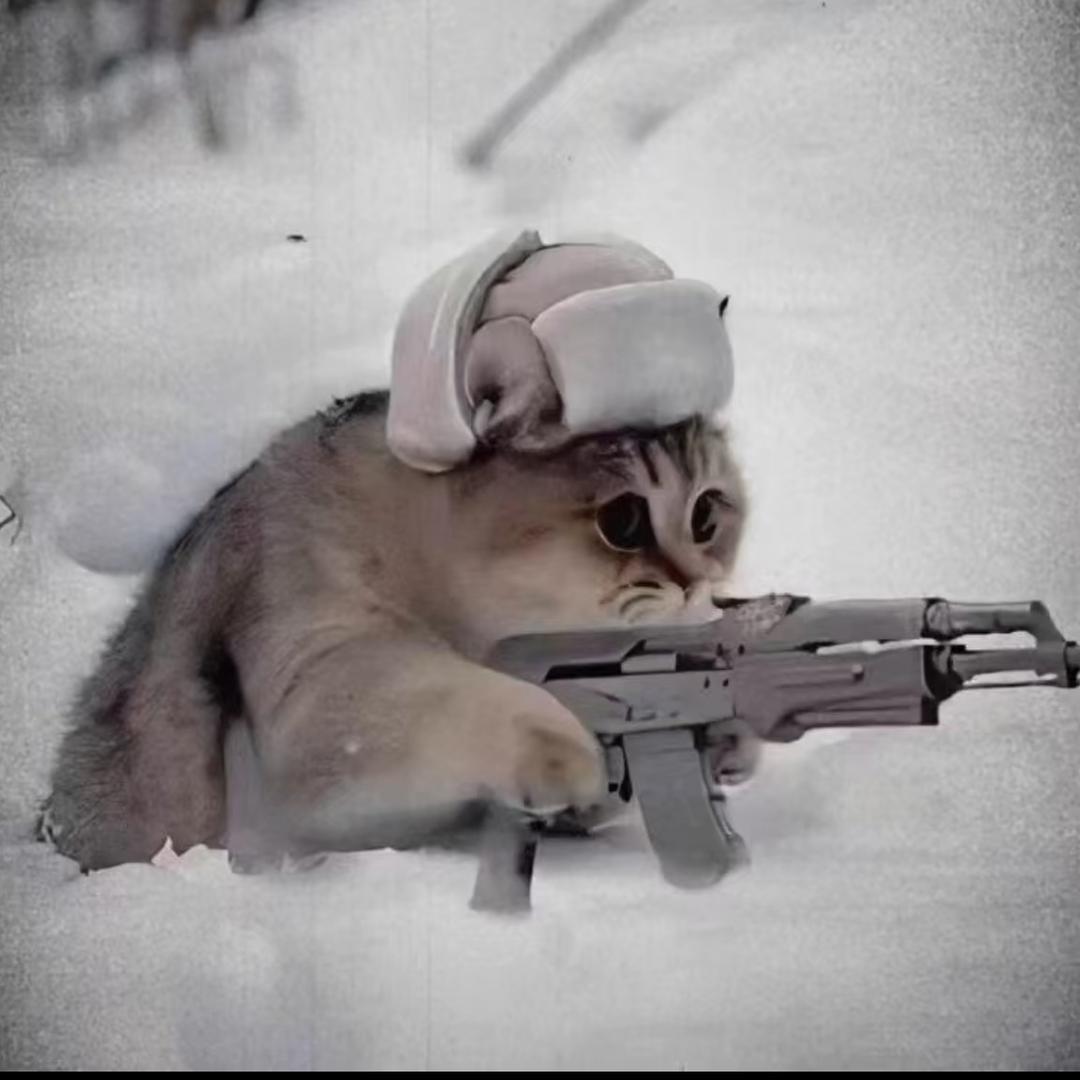 卖女孩滴小火柴