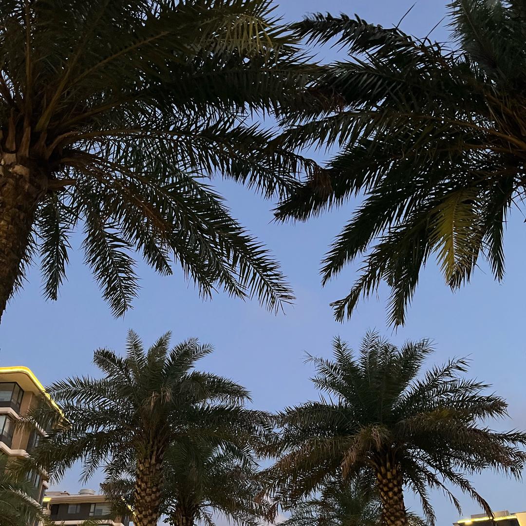 💕好心情💕