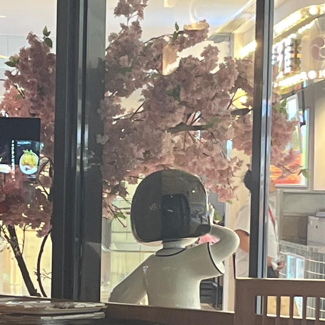 爱玩的小马哥
