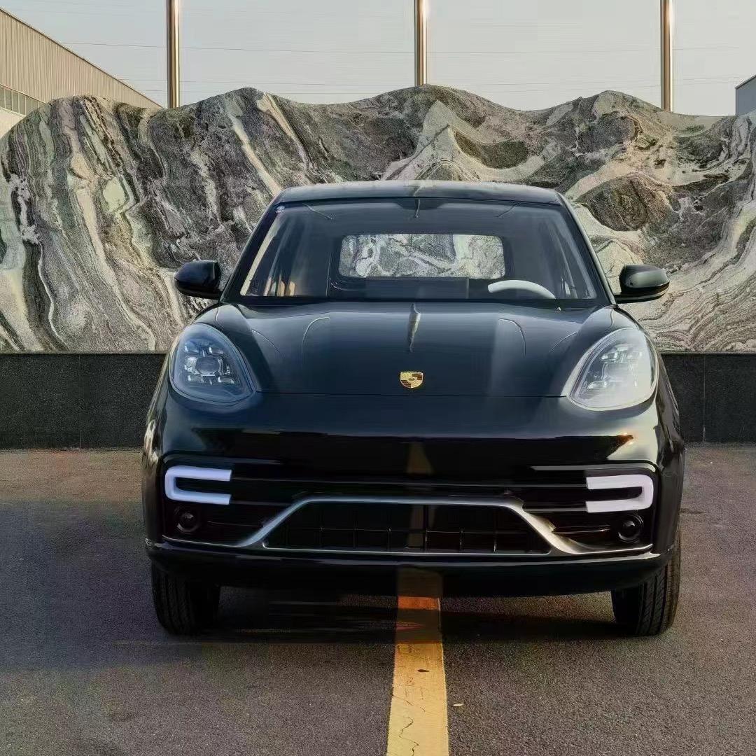 新能源电动车厂家🚗