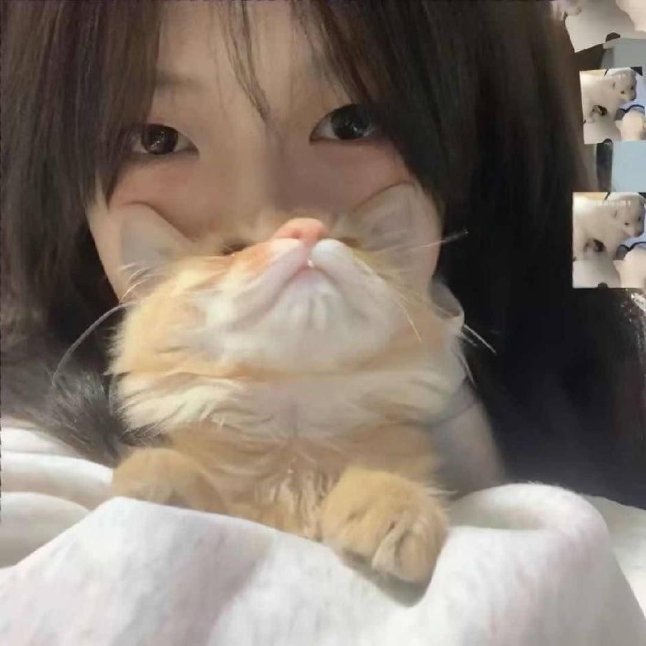 小🐏想睡觉