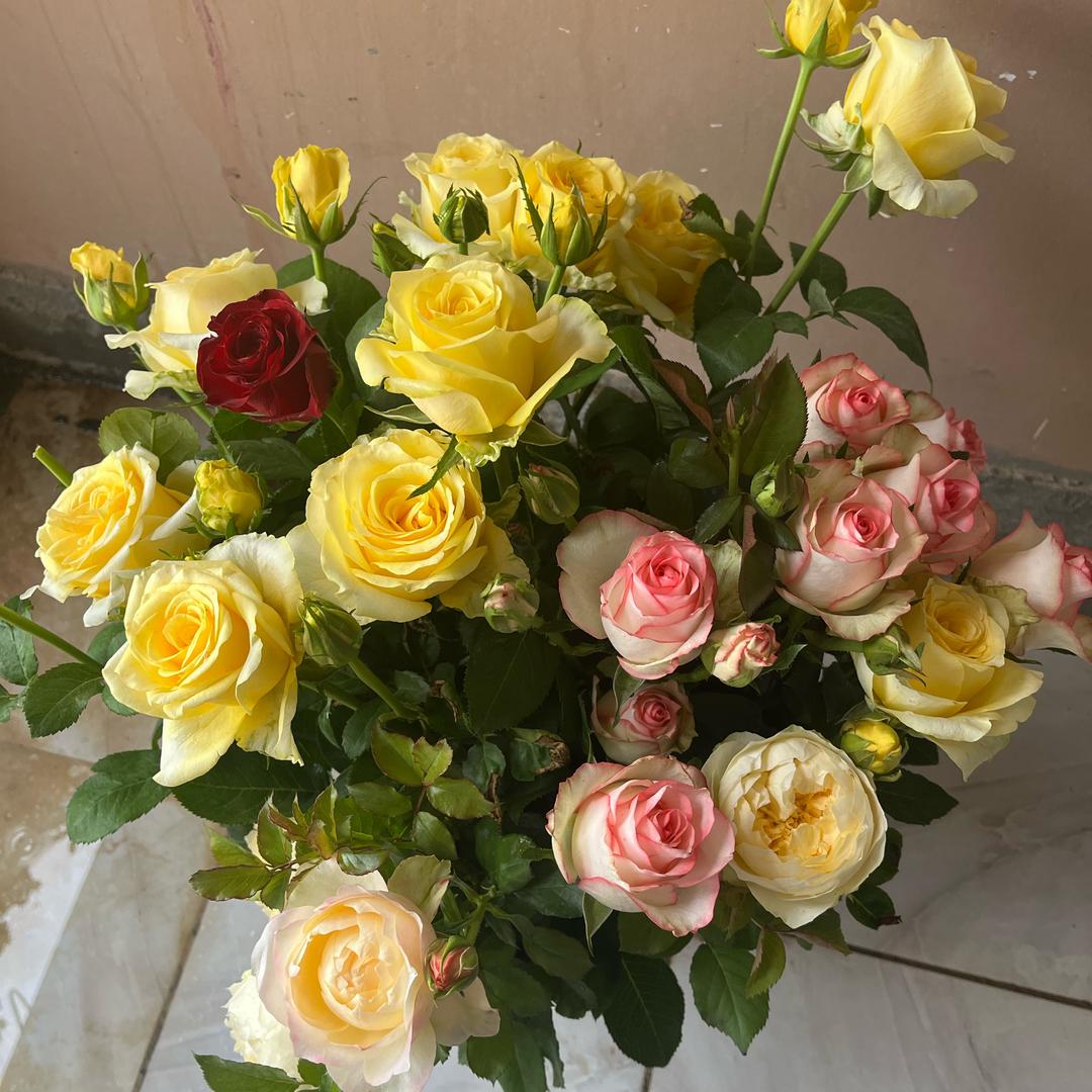 王小帅花坊