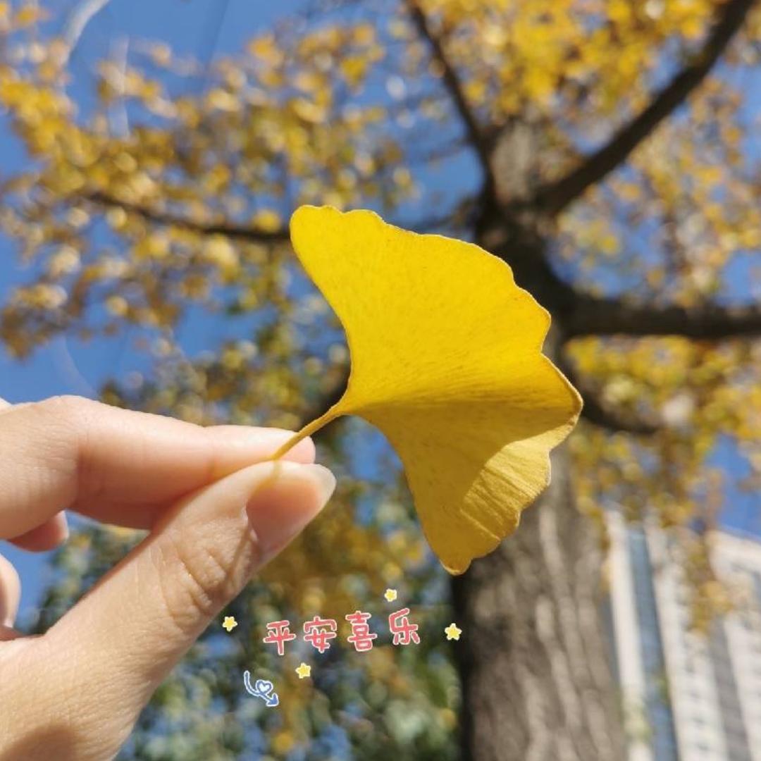 小小的太阳🌞互