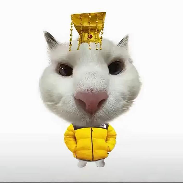 沙币