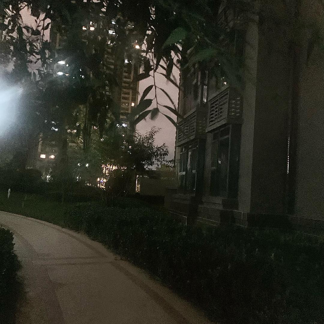 美好如期而至