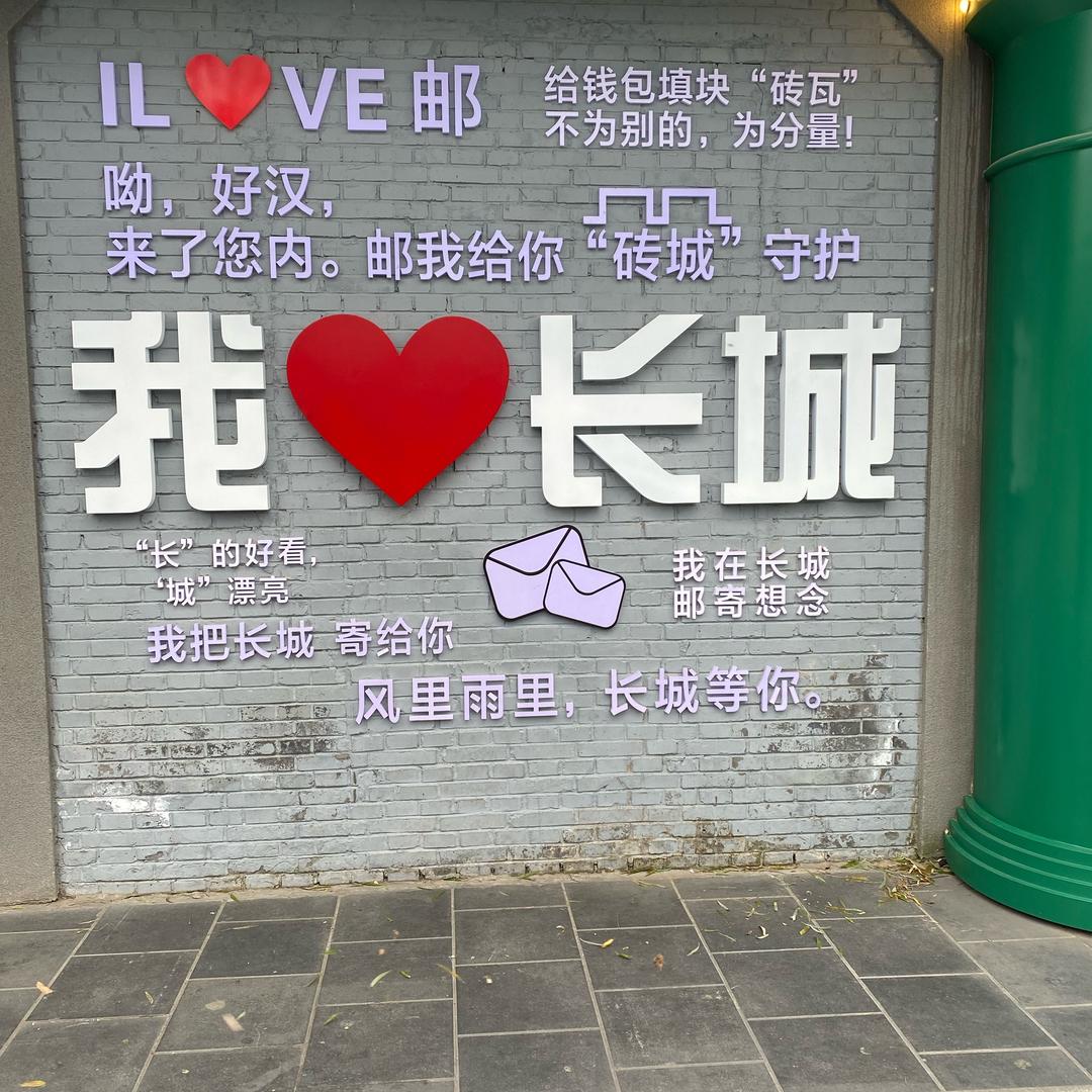 大脸姐