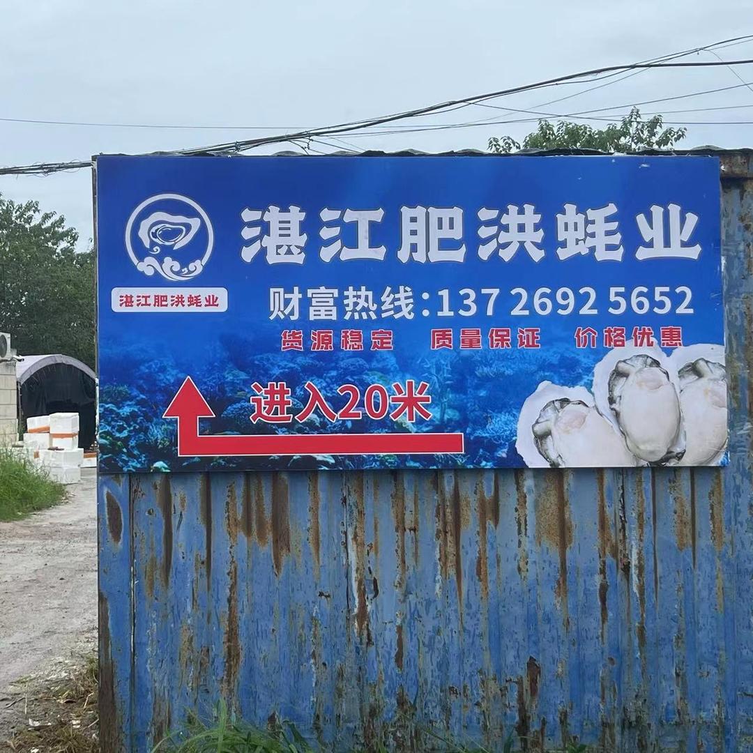 湛江肥洪蚝业