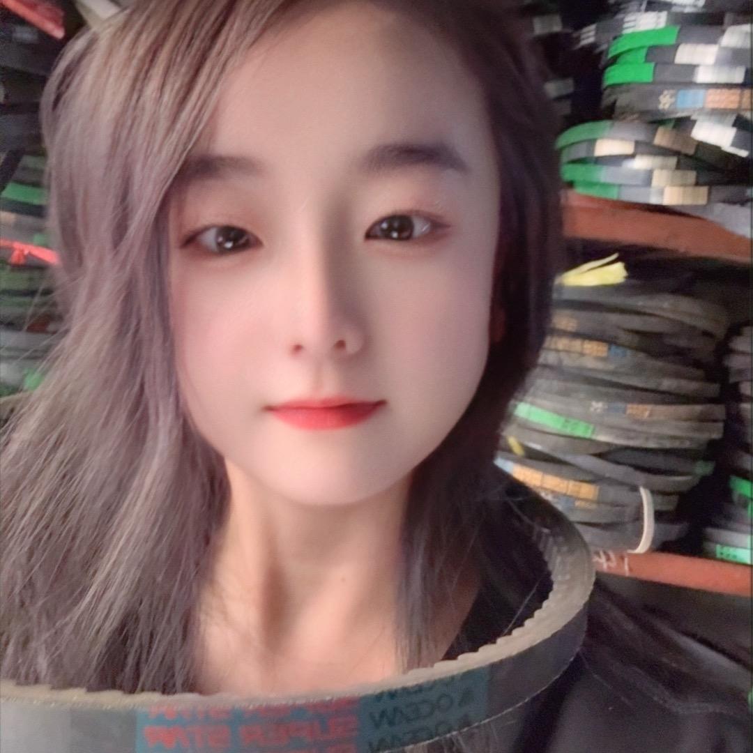 晋城燕子三角带