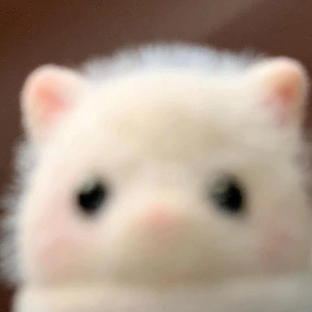 绷带绒