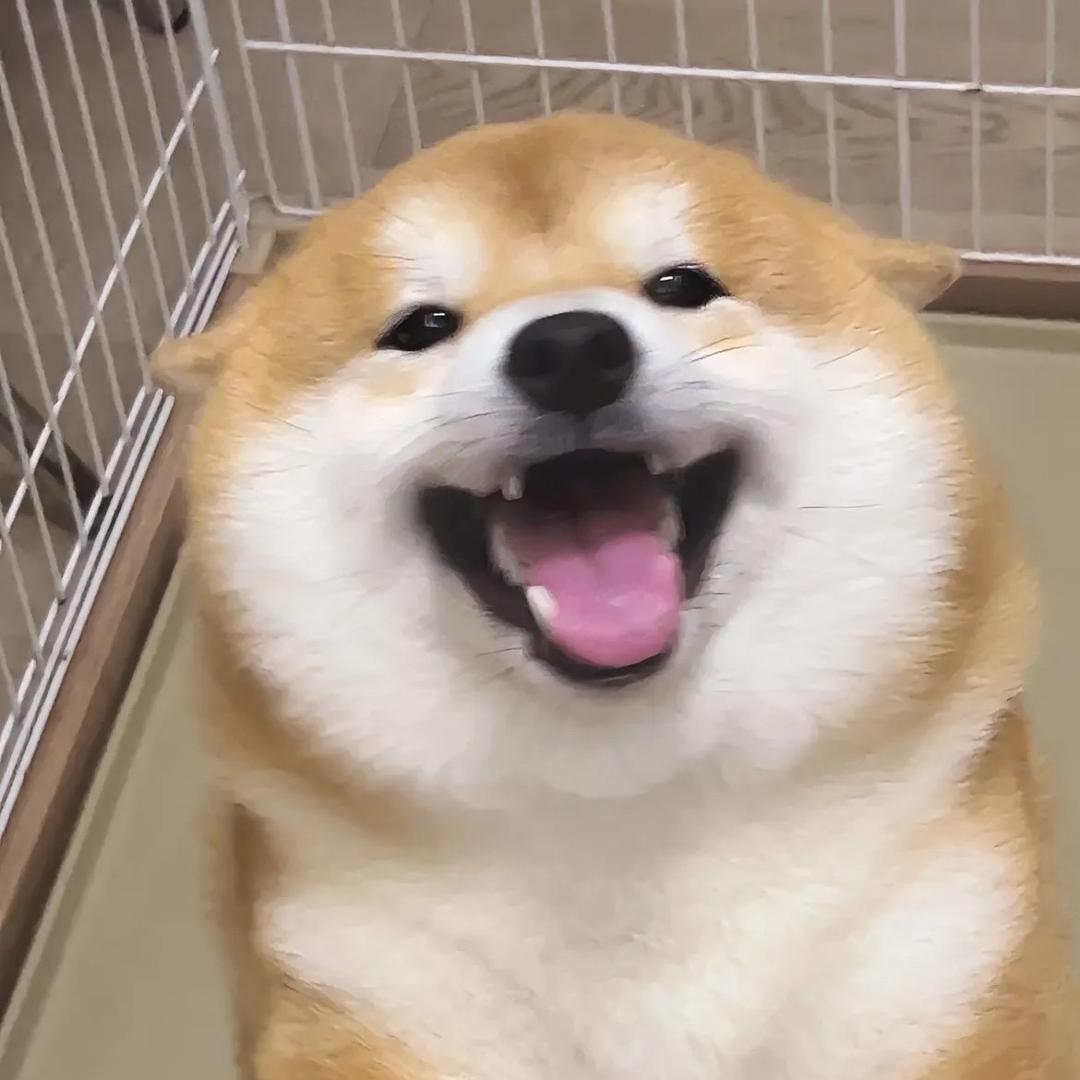 小熊🐻