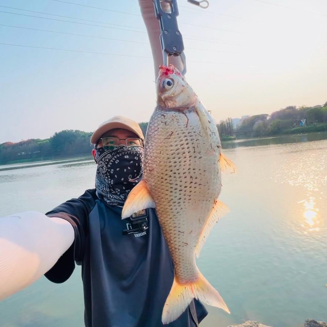 路亚佬阿表🎣
