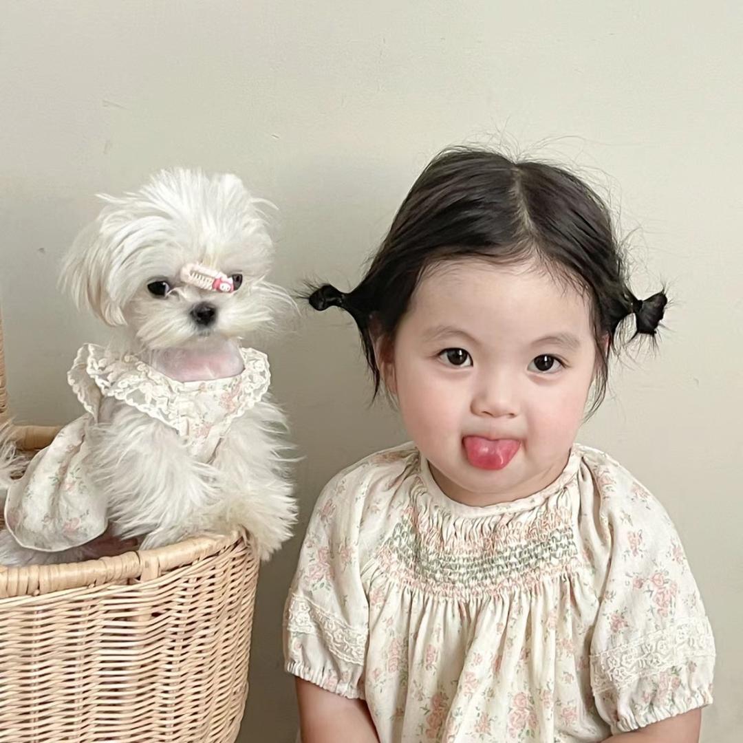 南京景山奇瑞瑶瑶