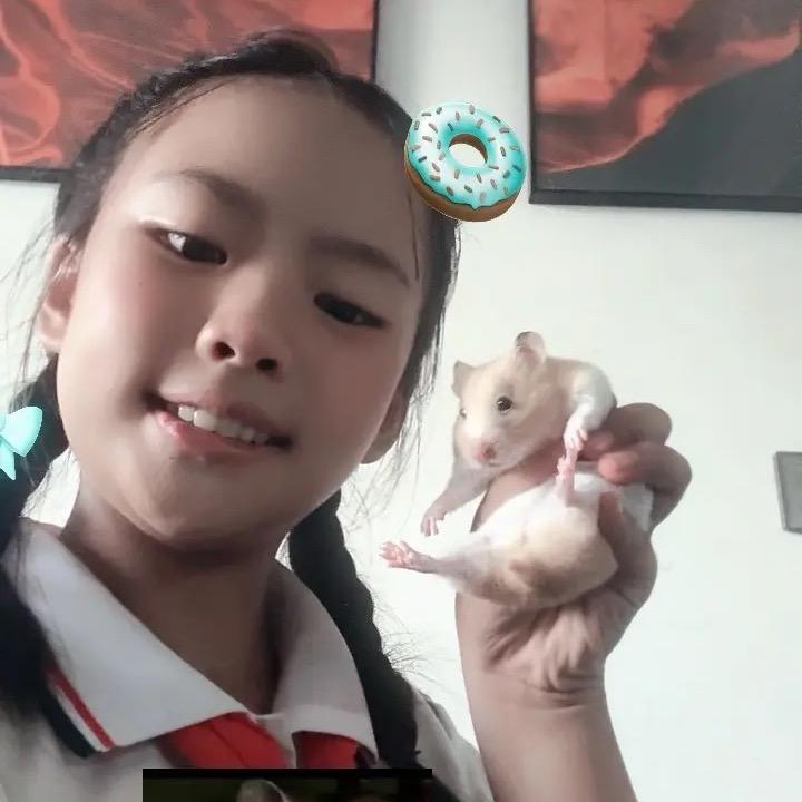 迷路的月亮🌙