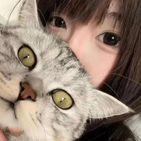 懒气猫🐾