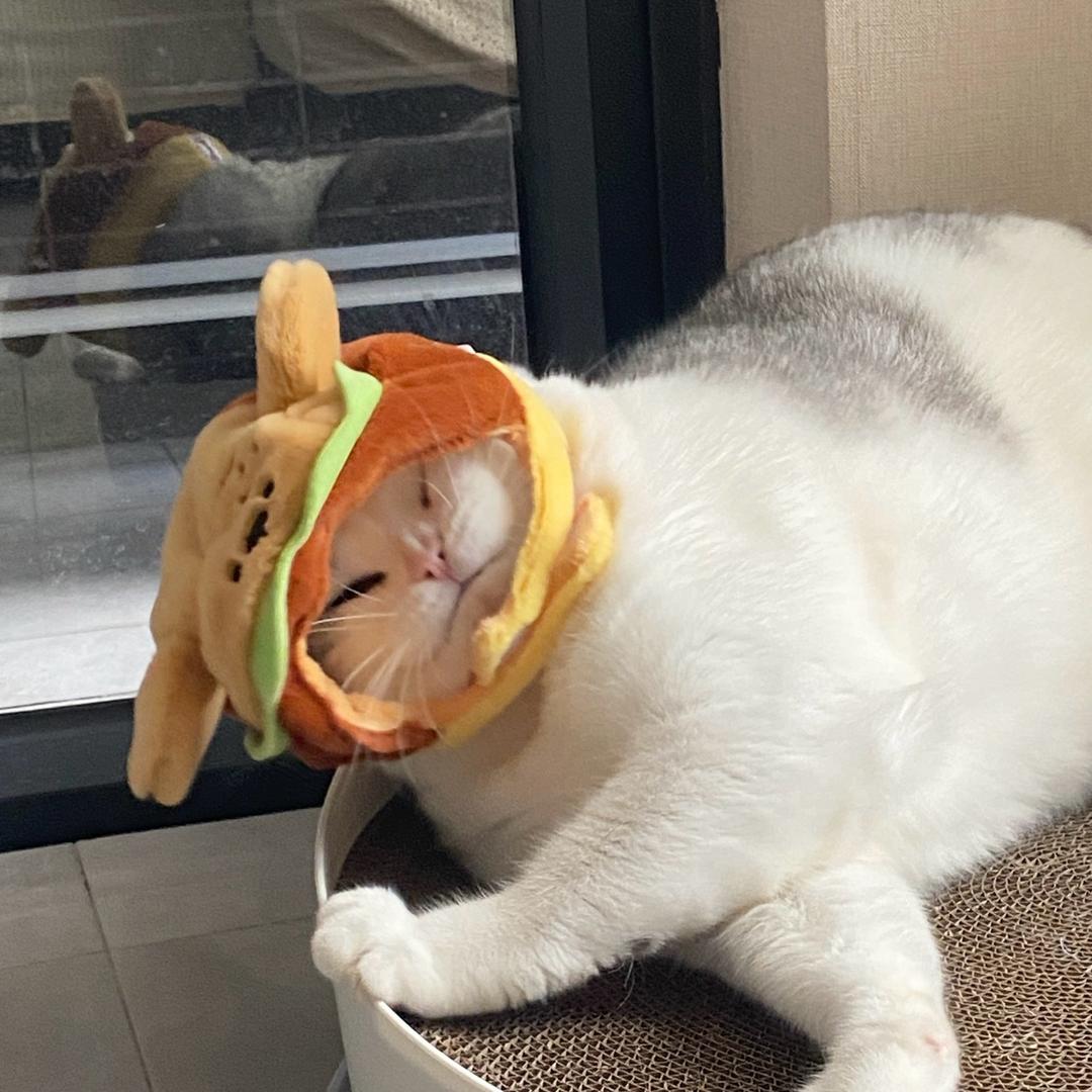 汤圆不减肥