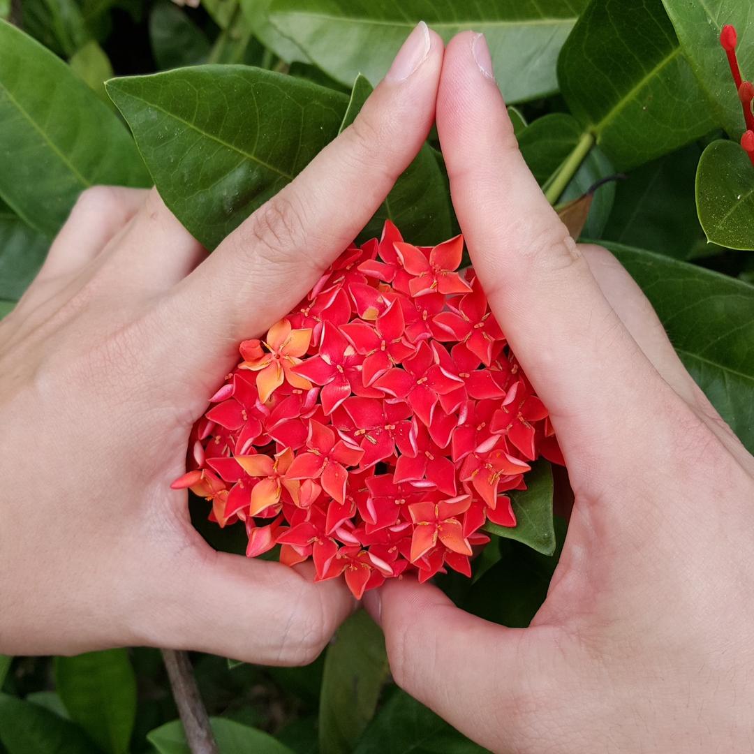 晚枫🍁^⁰²·⁰⁶