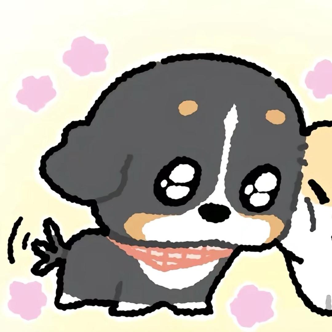 @等于号