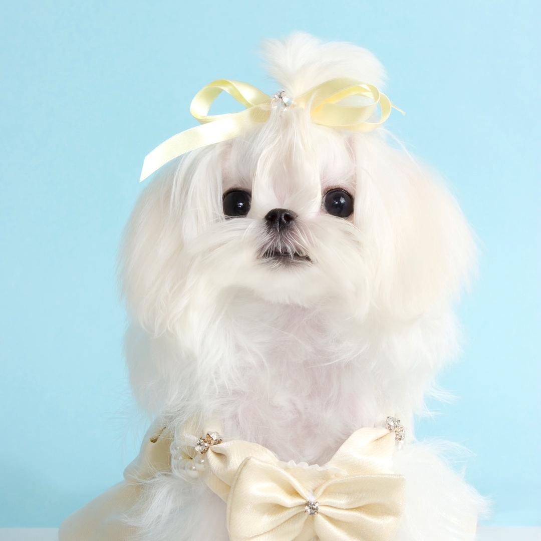 蛋炒饭de麻麻～