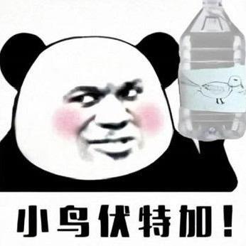 小鸟伏特加