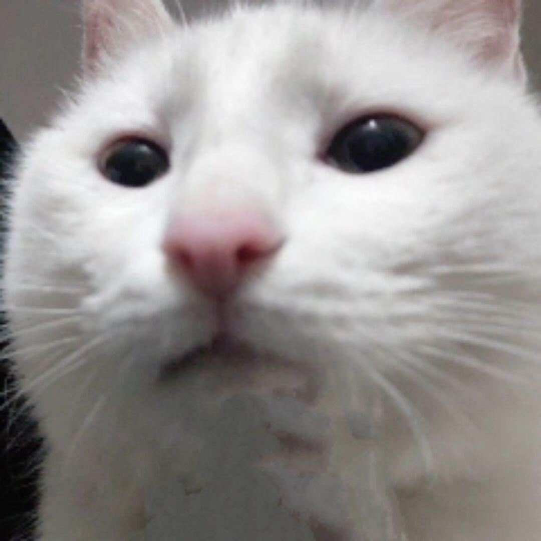 艺伍ywwwww