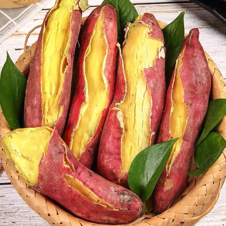 万牧丰农业专业合作社