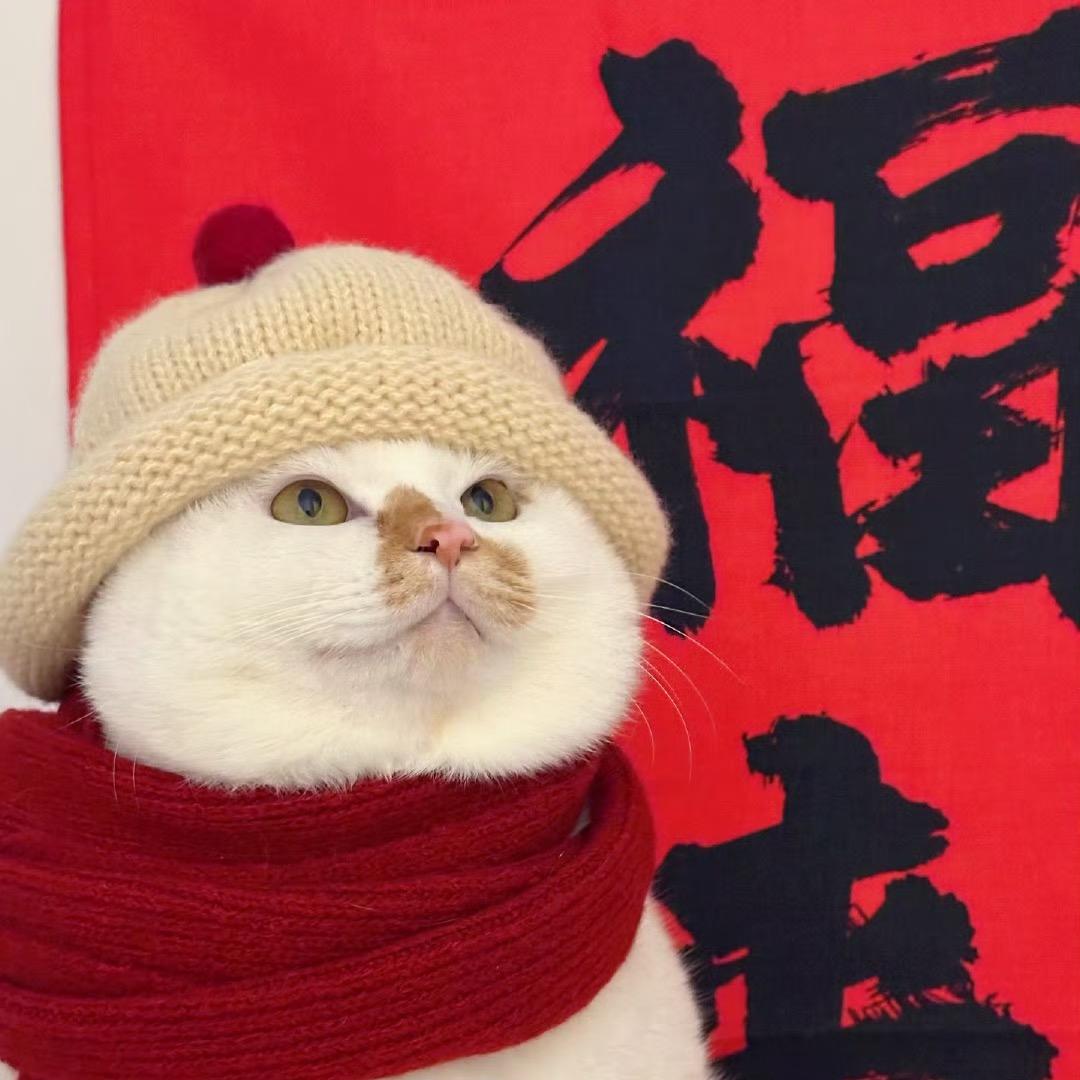 放下