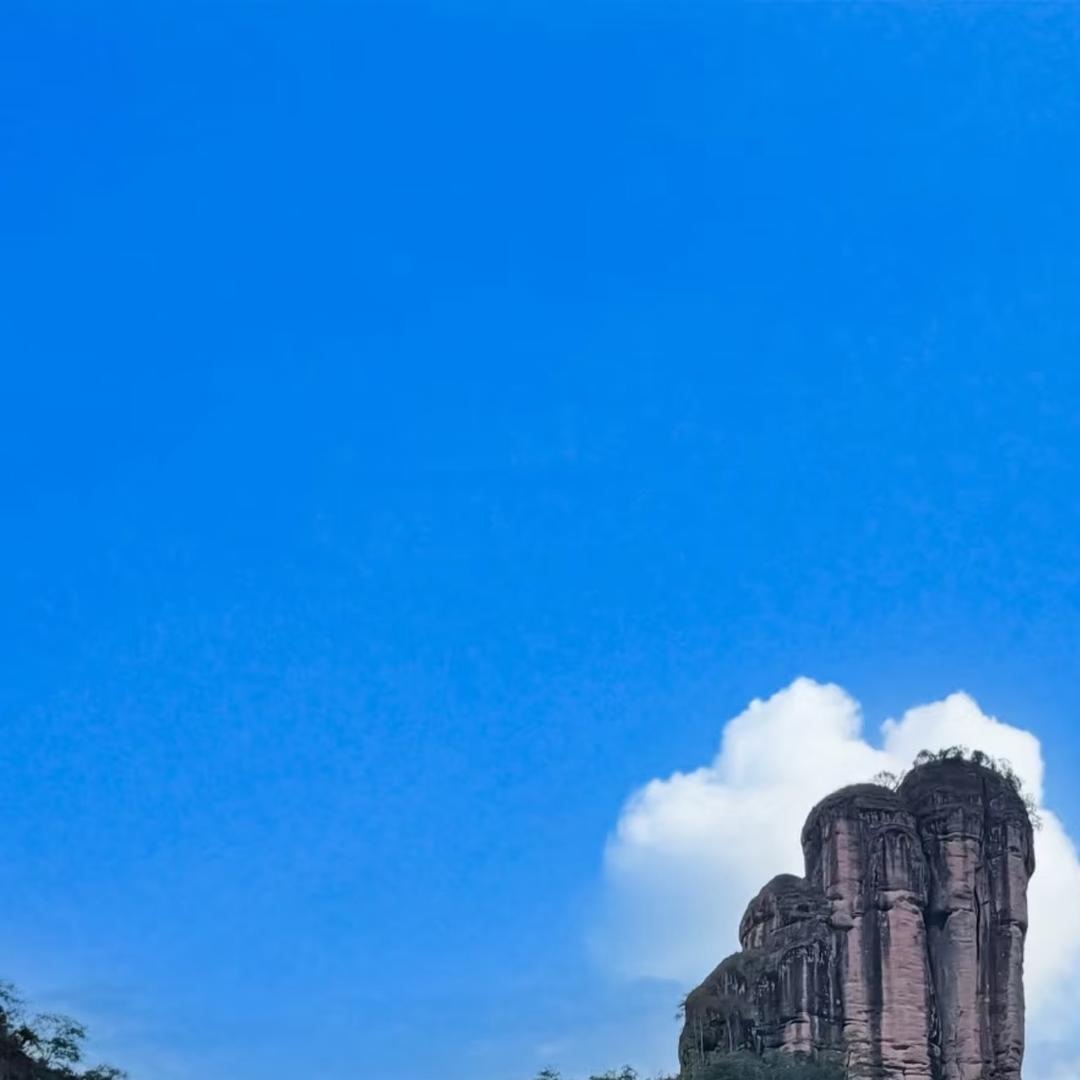 武夷山仙枞醉桂茶业